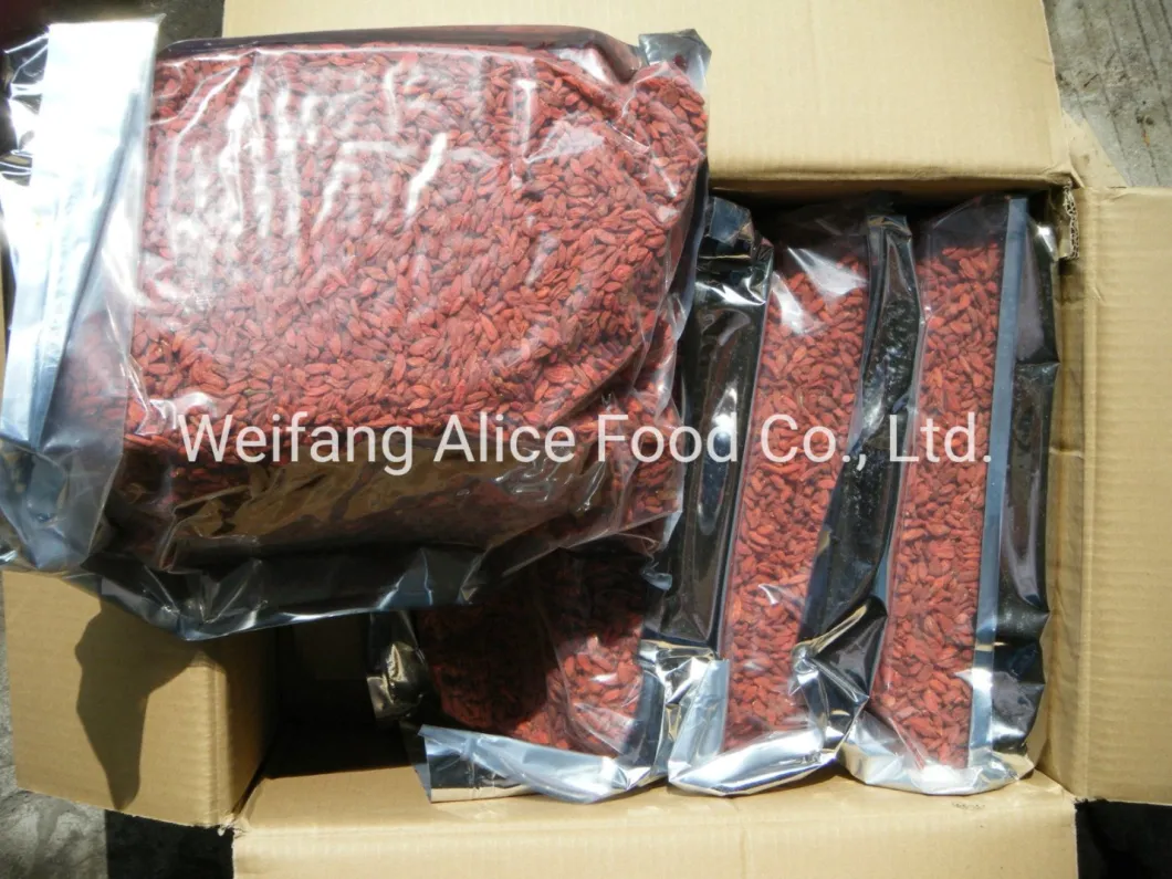 Ningxia Dried Organic Goji Berry High Quality Good Selling Gojiberry