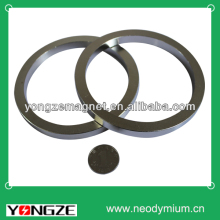 large neo ring speaker magnet