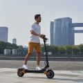 Scooter elettrici pieghevoli 3000 watts europa dropshipping