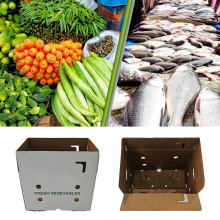 Durable Waxed Fish Shipping Box