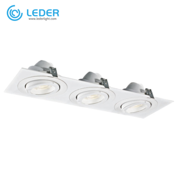 LEDER Warm Wit Krachtige 30W*3 LED Downlight