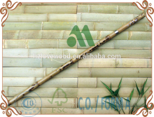 Bamboo Flute/tiger bamboo flute/good quality flute