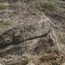 Double Twisted Wire Mesh Slope Protection