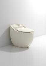 Bathroom Sanitary Ware Ivory One Piece Chinese Closet