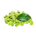 Green Coffee Bean Extract Chlorogenic Acid 10%-50%