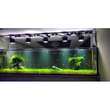 LED Marine Aquarium Beleuchtung Riffkoralle