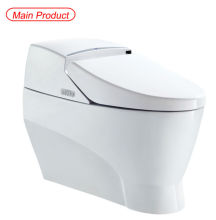 chinaware automatic sanitary ware toilet