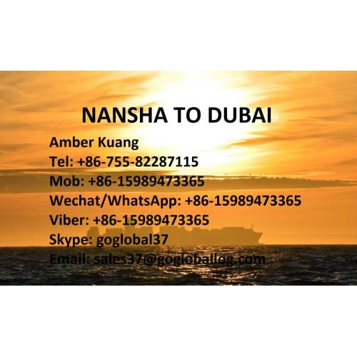Guangzhou Nansha Sea Freight to United Arab Emirates Dubai
