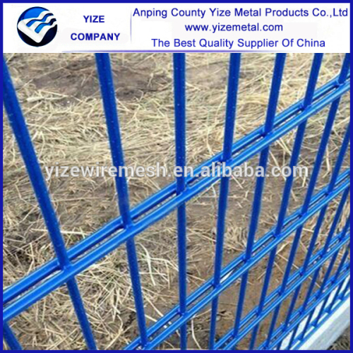 Hot sale Powder coated High Quality Twin Wire mesh fence for security