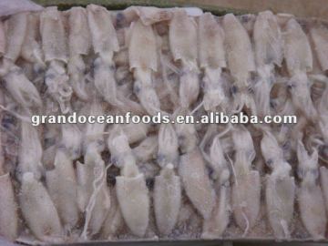 Seafood squid (baby squid)