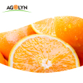 Słodki smak Witamina C Fresh Orange / Wo Tangerine