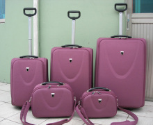 trolley case