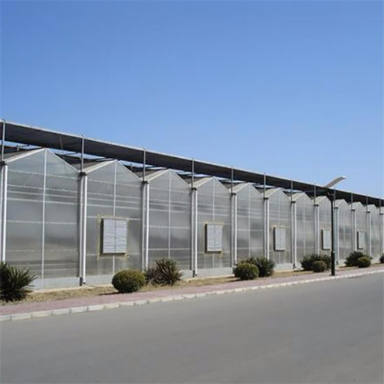 Agricultural Poly Multi-Span Arch PC Greenhouse