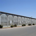 Green Poly Multi-Span Arch PC Greenhouse