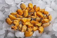 Frozen IQF blue mussel meat