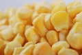 Simpan IQF Frozen Sweet Corn Kernel