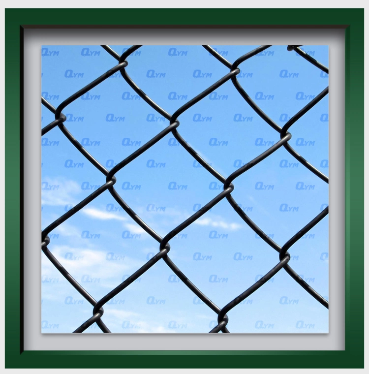 PVC Coated Sports Ground Diamond Wire Mesh Chain Link Fence