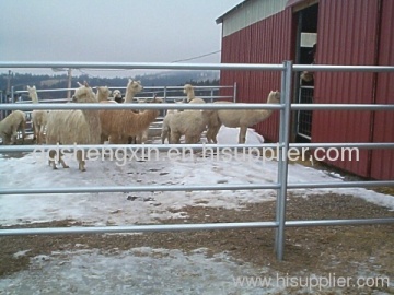 Cattle,horse,sheep Corral Panel 