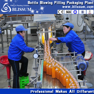 Complete Bottled Peanut /Soybean Milk Filling Plant