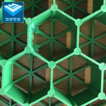 Plastic Grass Protect Paving Grid Gravel Grid" could be simplified and optimized as:

"Plastic Grass Protection Paving Grid