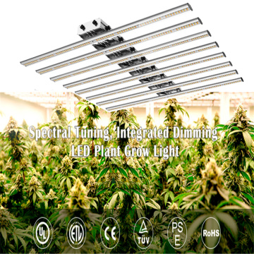 800W LED Grow Light Bar Greenhouse Verdure