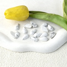 Natural High Quality White Turquoise Pear Cut Gemstones