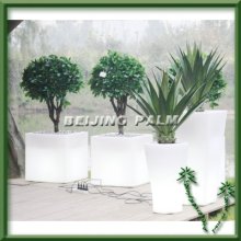 Flower pot with some plants