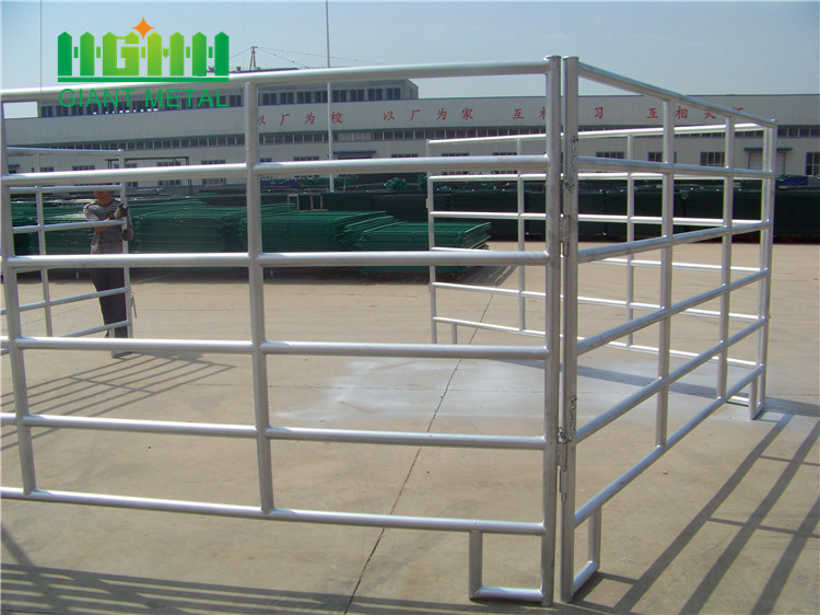 Wire filled /Pipe filled/Chain link mesh farm gate