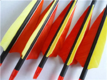 true feather carbon fiber arrows