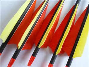 true feather carbon fiber arrows