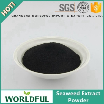 Powder Seaweed Extract Seaweed Fertilizer Seaweed Extract Fertilizer Kelp Extract Fertilizer