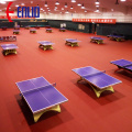 Table Tennis sports court floor