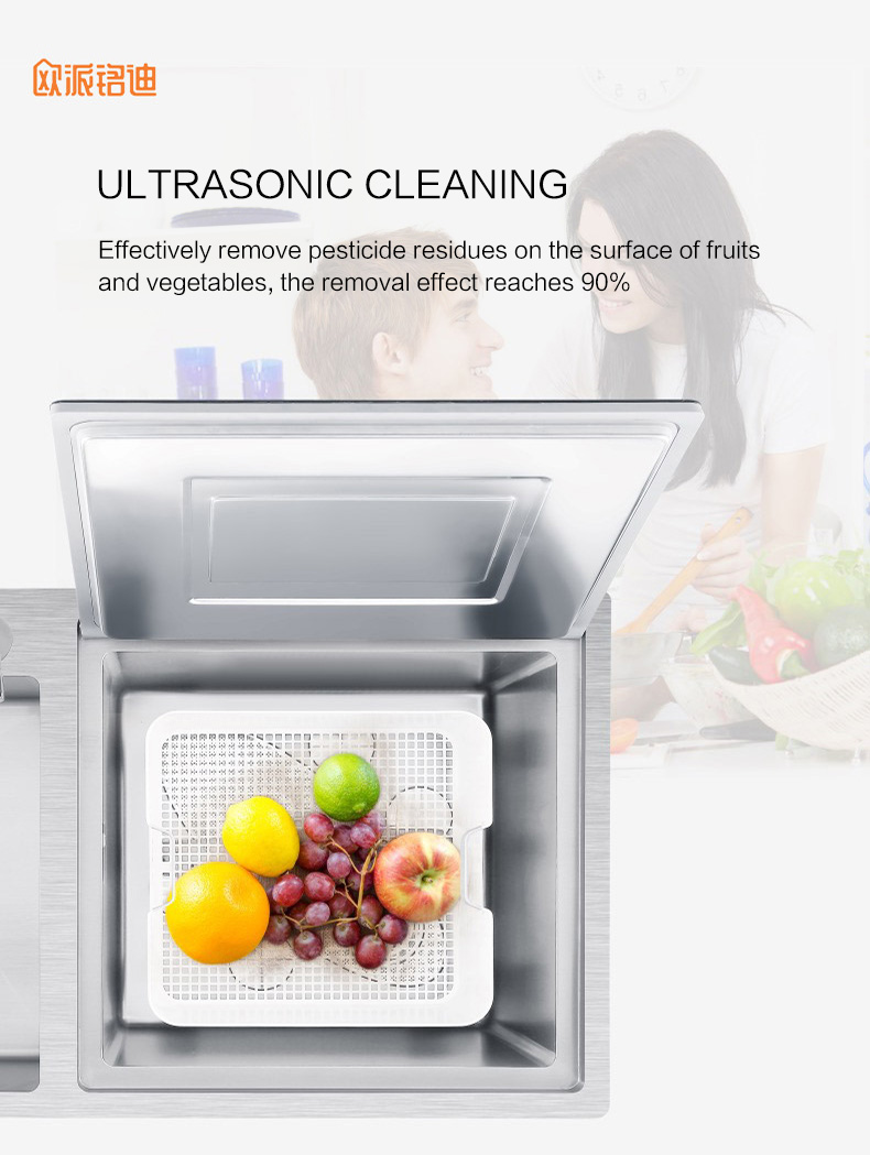 Luxurious outstanding Multi-functional Meeting Dish and Vegetable Washer for Private Home used and Fun