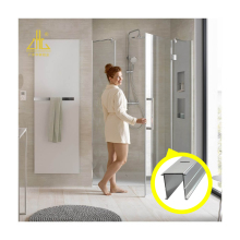 Elegant Electrophoresis Aluminum Profiles for Contemporary Showers