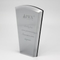 Clear Black Acrylic Prize Trophy For Souvenir