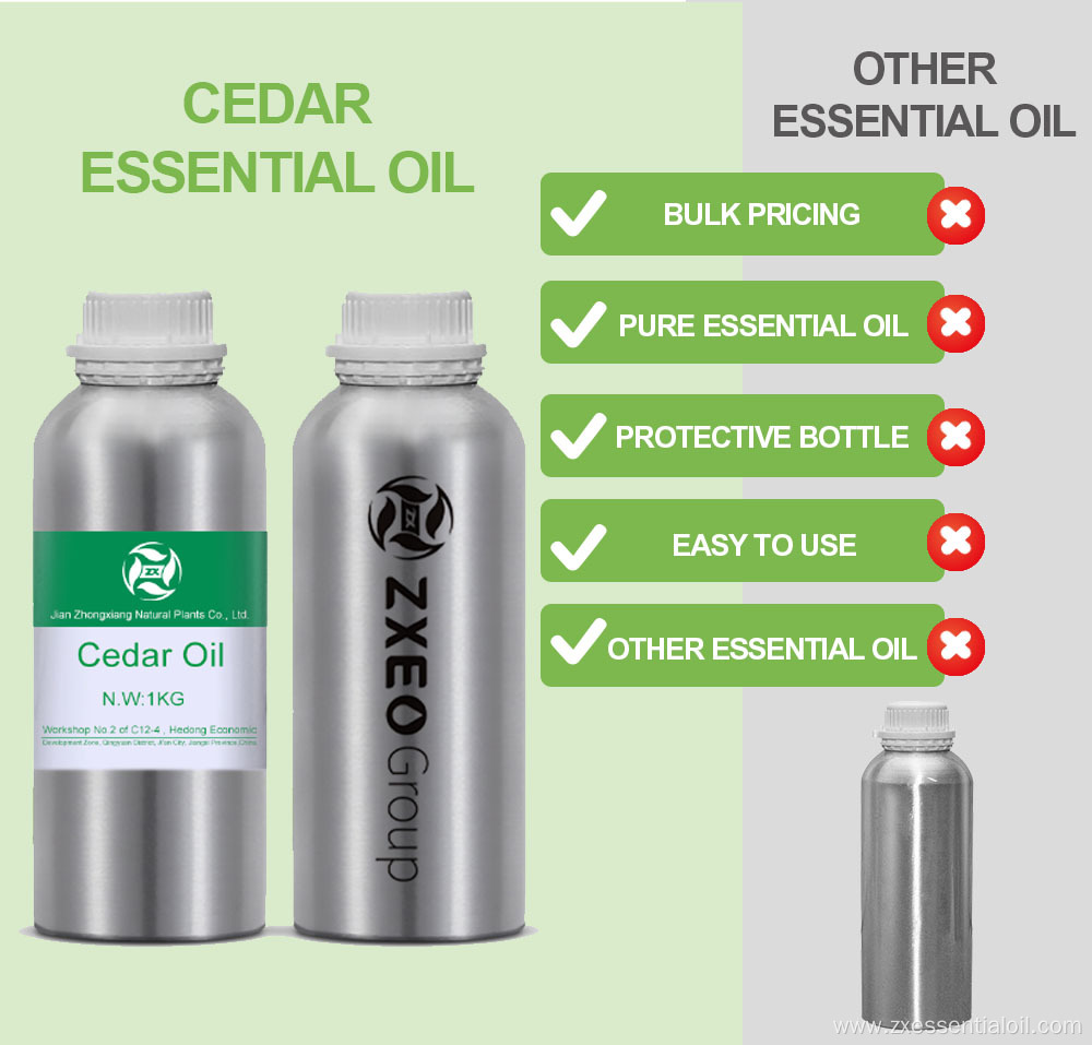 Wholesale Selling Top Quality Cedarwood Oil from Leading cedarwood oil oil at lowest bulk price