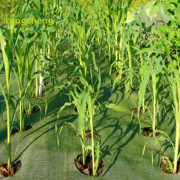 perforated anti weed control mat