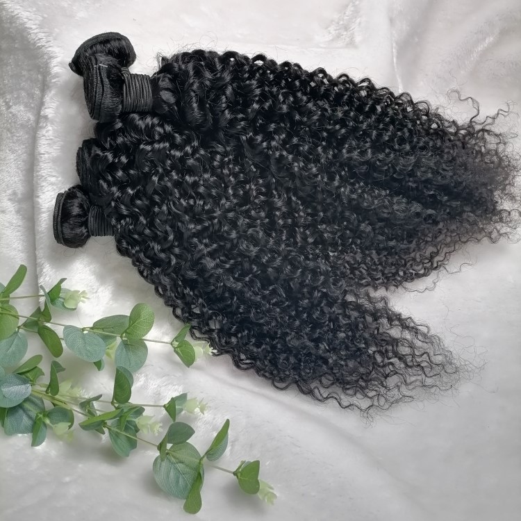 Jerry curly Wholesale price Human Hair Weave Bundle with closure Cuticle Aligned Hair Free Sample 8A Silky Brazilian Hair Bundle