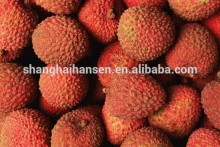 fresh soursop fruit import export agent services in Shanghai