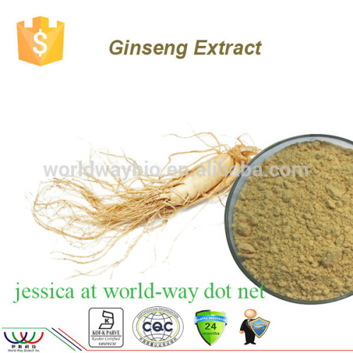 Free sample HACCP KOF-K GMP FDA certified Alibaba China supplier 2016 hot sale 1%~80% ginsenosides Ginseng root extract