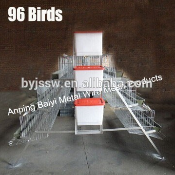 Chicken layers cage design