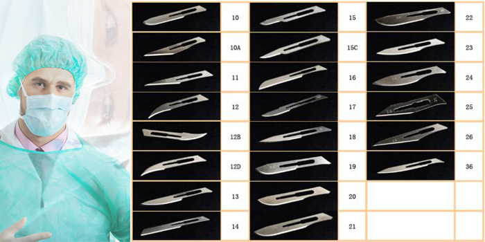 Diverse dimensioni di lame chirurgiche Different sizes of surgical blades