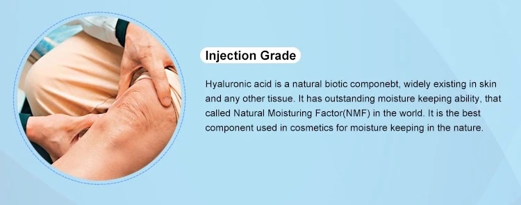 Порошок для инъекций Injection grade HA powder