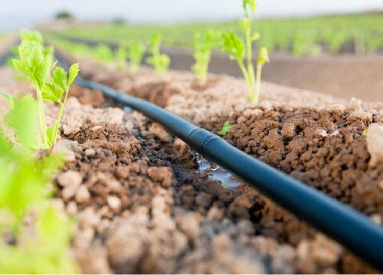 Drip Irrigation Pipe Drip Irrigation Pipe