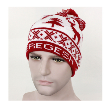 knit beanie hat,cheap custom beanie hat,cotton beanie hats for men