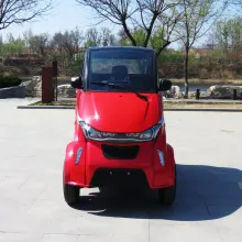 Export to European Popular 3000W EEC Electric Car