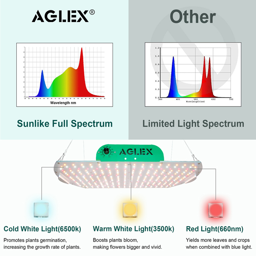 Bảng lượng tử 200W Đèn LED phát triển nhà máy Samsung