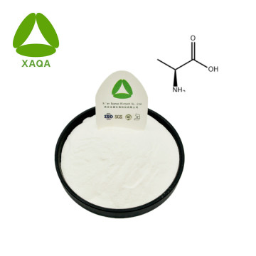 L-Alanine Powder CAS no 56-41-7