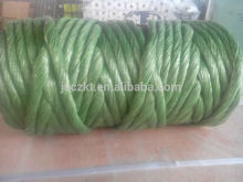 tomato twine sell to australia