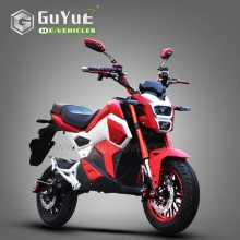 Two Wheel Drive Electric Motorcycles